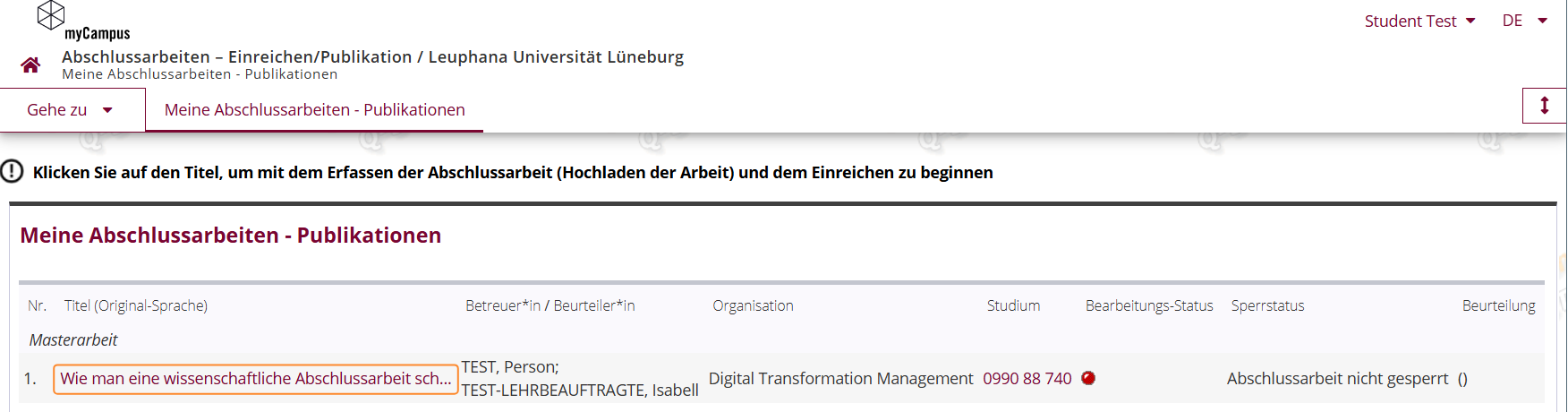Meine Abschlussarbeiten - Publikationen