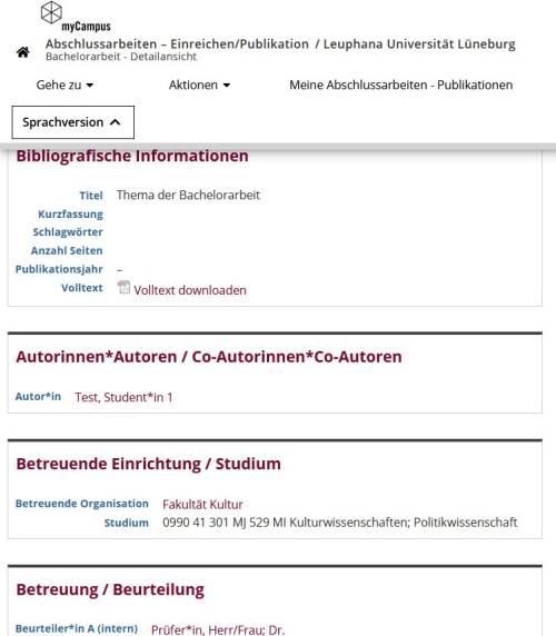 Detailansicht der Abschlussarbeit