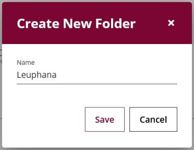 new folder