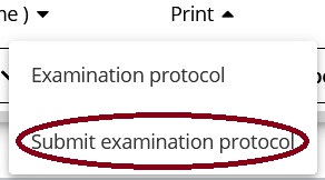 Submitting the examination protocol (list of candidates)