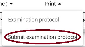 Submitting the examination protocol (list of candidates)