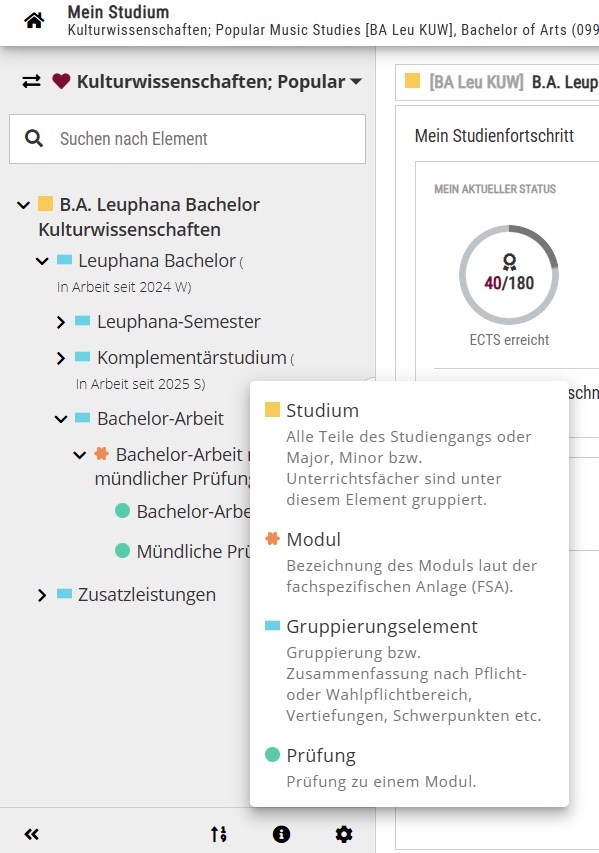 Strukturelemente eines Studienplans
